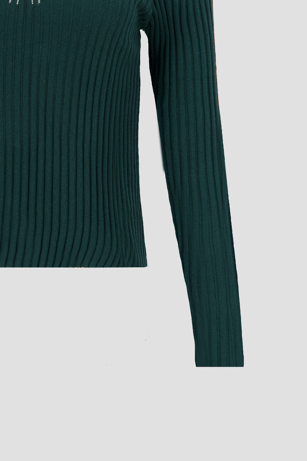 Long Sleeves Two Tones Polo - Egret x Stormy